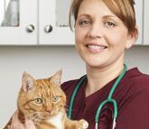 vet