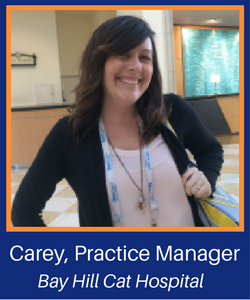 Carey, Practice Manager-3.png