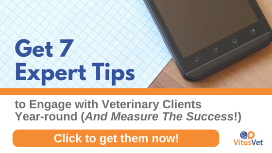 Vitus_Vet_7_Expert_Tips_Blog_2.png