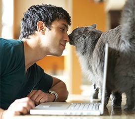 catowner_on_laptop.jpg