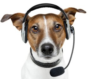 dog-headset.jpg